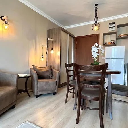 Bratanov Asteria Family 써니비치