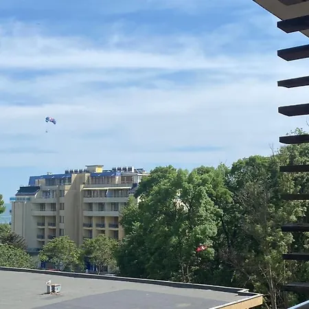 Bratanov Asteria Family 써니비치